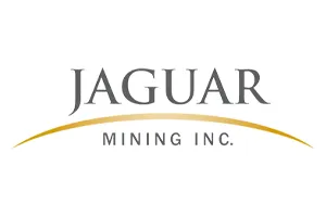 Jaguar Mining