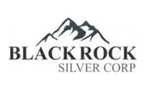 Blackrock Silver Logo