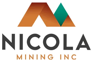 Nmi Logo