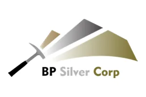 Bp Silver Logo