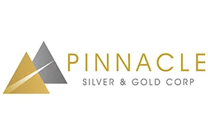 Pinnacle Silver Gold Logo